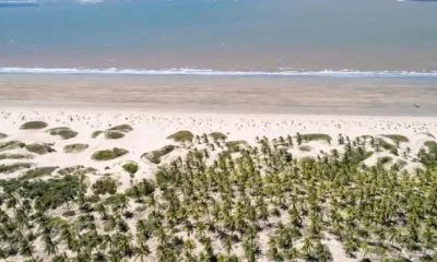 Beach-plot-for-sale-2