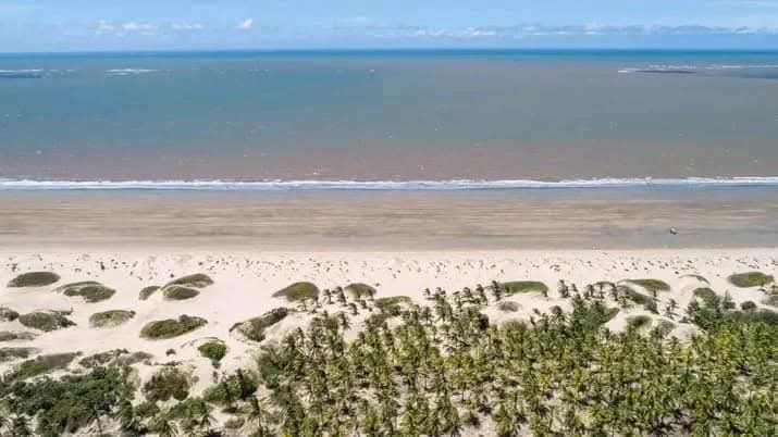 Beach-plot-for-sale.-Ngomeni