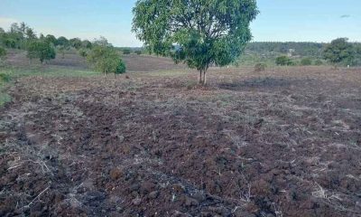 Kilifi-5-1