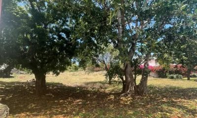 Place-Casuarina