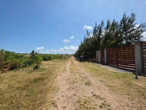 599566643_122157142040838004_926604288901858074_n