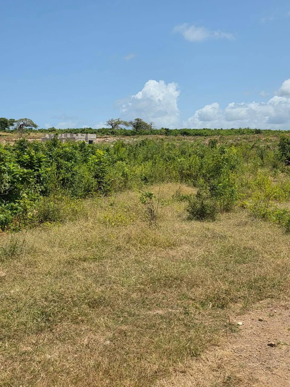 599937546_122157142082838004_3872144198535111896_n