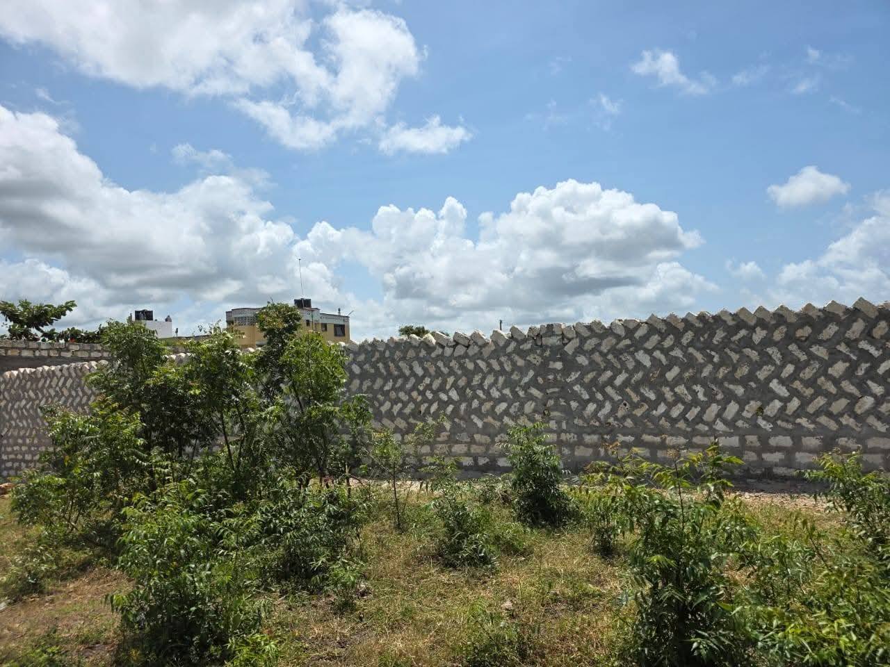 600367685_122157142166838004_6636079381401624004_n