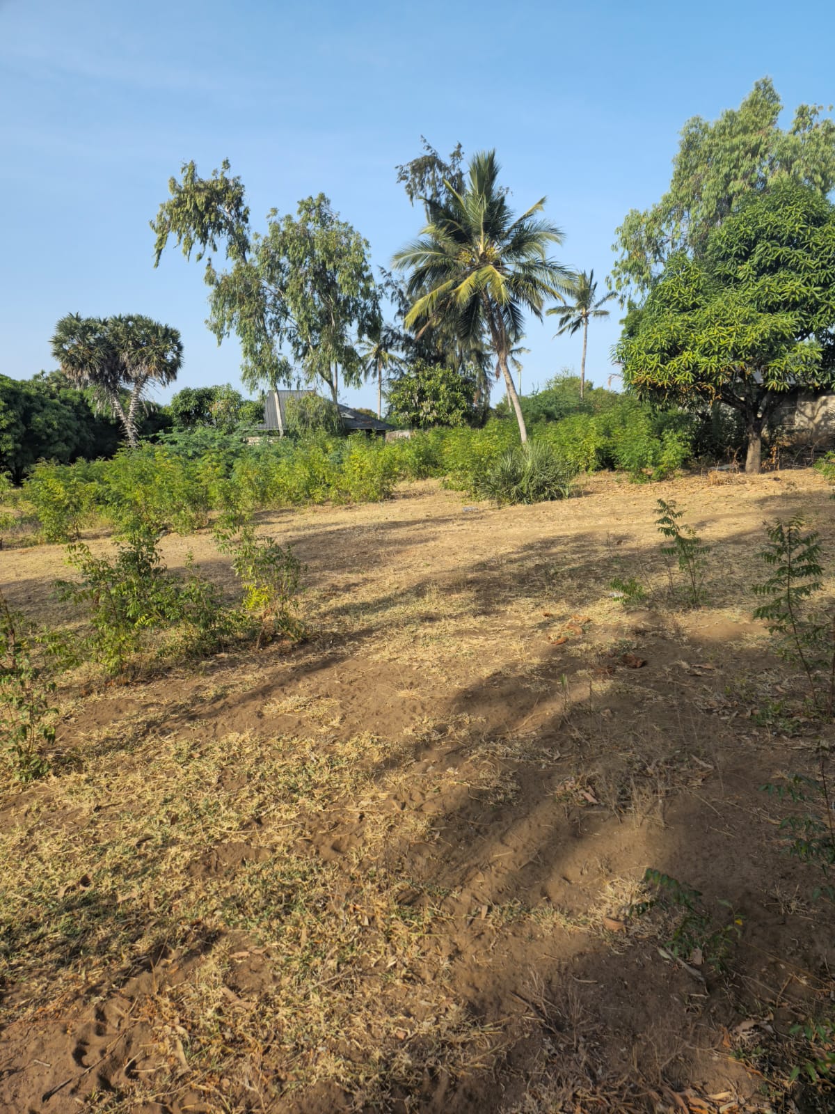 WhatsApp-Image-2026-01-28-at-9.21.40-AM-1