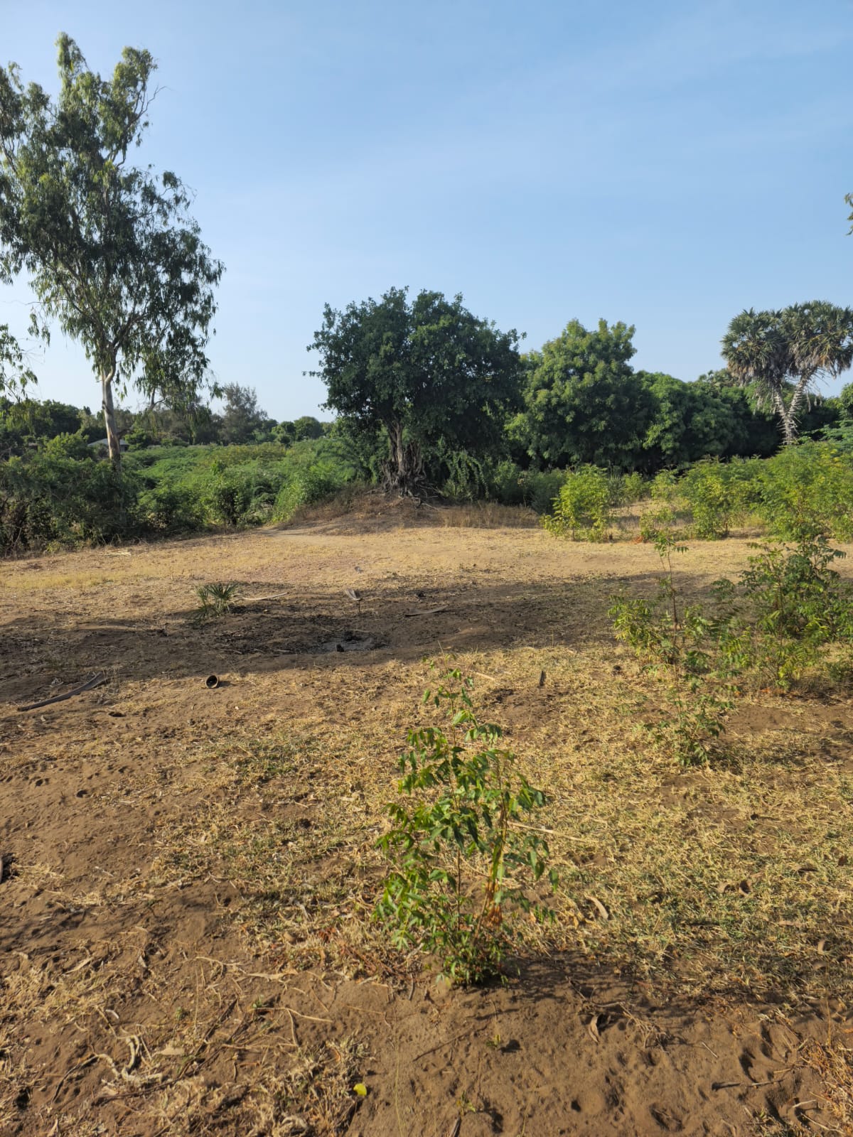 WhatsApp-Image-2026-01-28-at-9.21.40-AM-2