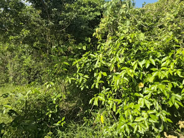 lukole-2