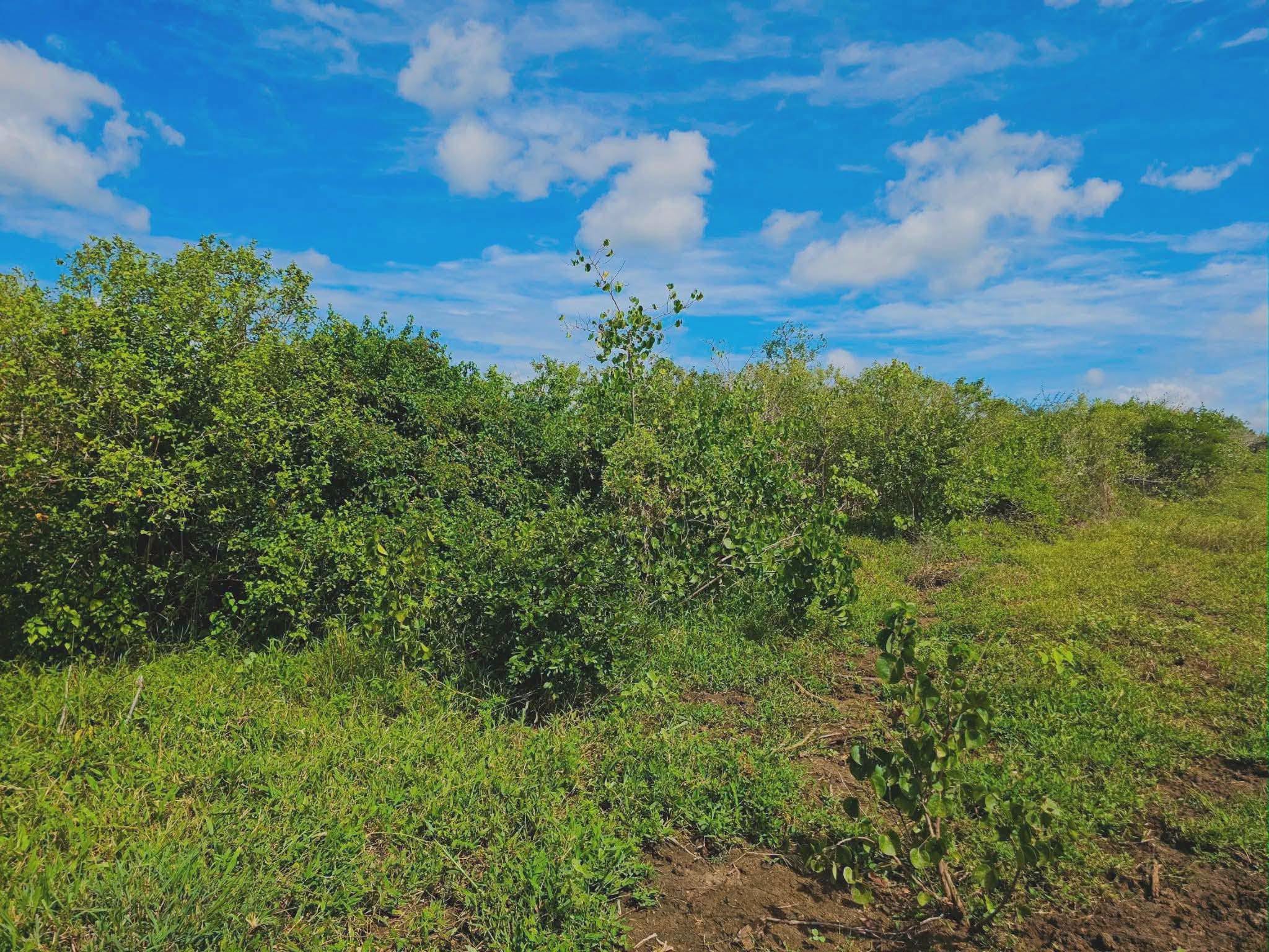 736700543_1007576508540605_1070042230599664029_n